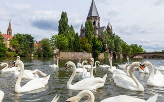 Twee Franse kerken. Op de voorgrond zwanen op de rivier.