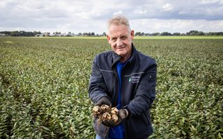 Een oudere man met een blauw jack aan staat in een veld groene lelieplanten. Hij houdt in zijn handen een paar bollen vast. Op zijn jack staat de naam van zijn bedrijf: Veninga Hijken.