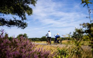 Heidestruiken, een blauwe lucht en op de voorgrond twee fietsers die genieten van de natuur op de Veluwe.