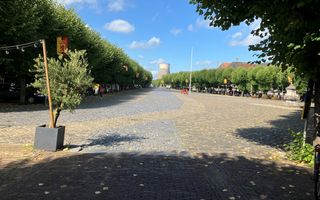 Groot plein met aan weerszijden leilinden. Op de achtergrond een koeltoren.