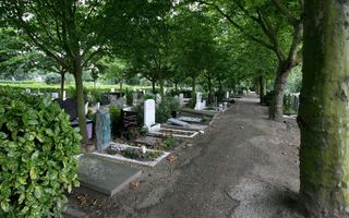Grafzerken aan een pad met bomen erlangs.