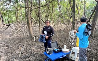 Mangrovebomen in de modder en een tafeltje met apparatuur met daarachter Silva.