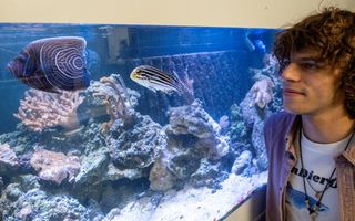 Jonge man met links van hem zijn enorme aquarium.