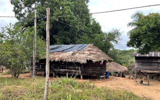Een hut met een bladerdak op een kale ondergrond.