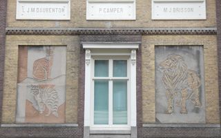 Gevel van een gebouw met daarop in steen enkele dieren uitgehakt.