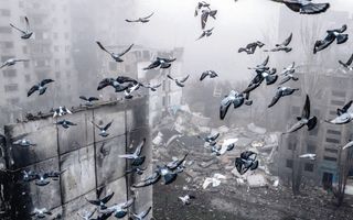 Vliegende duiven boven verwoeste gebouwen, in de mist. Alles is grijs.