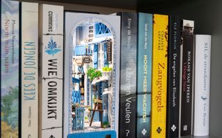 Een plank vol boeken, met daartussen een minitatuurhuis met blauwe luiken en planten in potten op de vensterbank.