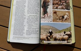 Bijbel met plaatjes in het Onobasulu.