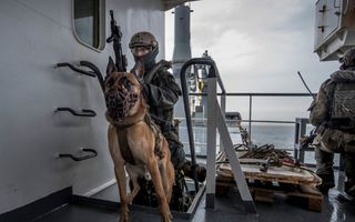 Bruine hond met muilkorf op dek van een militair schip. Achter de hond een trapgat. De militair met helm en geweer houdt de hond aan de lijn.