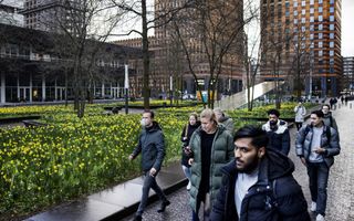 Mannen en vrouwen lopen op een weg naast een bloemenveld. Daarachter staan kantoorpanden.