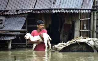 Een man tot zijn middel in het water met een geit in zijn armen. Op de achtergrond een armoedige woning.