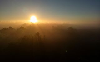 De zon schijnt door de nevel over de bossen heen.