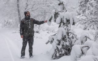 Boswachter wijst op een flinke laag sneeuw op takken van een boom