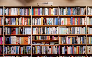 Op de foto is een volle boekenkast te zien.