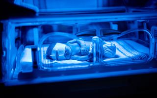 Een baby ligt in een couveuse en wordt beschenen met blauw licht. 