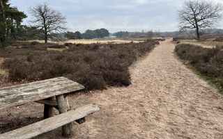 Verweerde houten picknicktafel met bank staat aan een pad in een gebied met heide en zand.