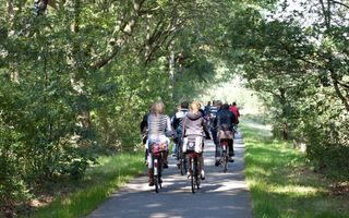 Scholieren fietsen op een fietspad van school naar huis. 