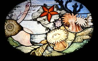 Ovaalvormige glas-in-loodafbeelding met schelpen, zeesterren en onderwaterplanten.