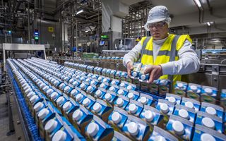 Een medewerker in veiligheidskleding staat in een fabriek bij een productielijn met honderden blauwe pakken zuivel.