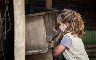 Een klein meisje met halflang donkerblond haar staat voor een konijnenhok. Ze steekt haar handen in het hok.