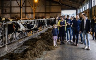 Een groep mensen loopt in een stal met koeien. Op de voorgrond een vrouw en een meisje, beiden in rok, en een kalende man met bril. Helemaal  rechts loopt een jonge man op sneakers.