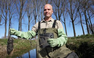 Een man staat met een overall aan in een sloot en houdt een klem en een rat vast.
