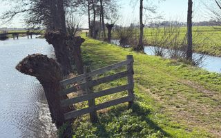 Graspad tussen twee riviertjes door. Aan weerszijden van het pad knotwilgen. Linksvoor een hek.