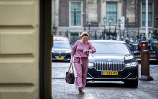 Minister voor Natuur en Stikstof Christianne van der Wal komt aan op het Binnenhof. beeld ANP, Remko de Waal