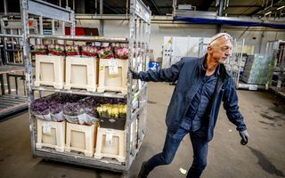 Oudere werknemer in donkere kleren trekt een kar met bloemen achter zich aan. Hij loopt in een magazijn.
