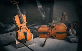 Drie violen –twee bruine en een zwarte– liggen op een stoffige kast. Het licht is diffuus.