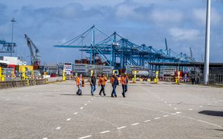 Vier mannen en een vrouw lopen over een haventerrein met op de achtergrond containerkranen en containers van Maersk.