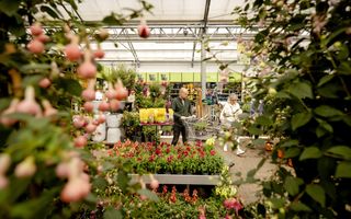 Een oudere man en een vrouw lopen met een winkelwagentje tussen planten in een tuincentrum.