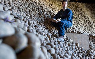 Een jongeman met een baard, gekleed in een blauwe overall, zit in een schuur op een grote hoop aardappelen.