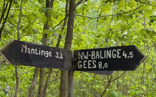 Houten bewegwijzering met daarop de plaatsnamen Mantinge, Nw-Balinge en Gees.
