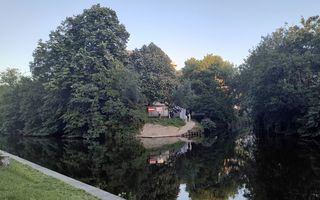 Vijver met op de achtergrond bomen, die spiegelen in het water. Op de voorgrond, links, een betonnen kaderand en een klein stukje gras.