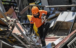 Een reddingswerker met een oranje helm tilt een hond uit de puinhopen.