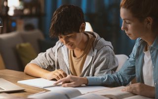 De meest gevraagde bijbaan op dit moment is bijlesdocent. beeld Getty Images