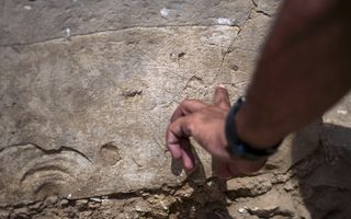 Een van de archeologen wijst een ingegraveerd schip aan. beeld Israëlische Oudheidkundige Dienst,  Yoli Schwartz