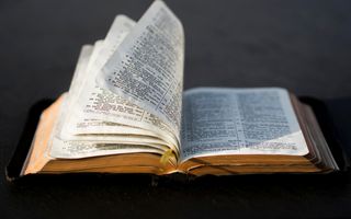 Sommige theologen gingen de Bijbelse gegevens over huwelijk en seksualiteit opnieuw lezen en anders interpreteren. beeld Unsplash