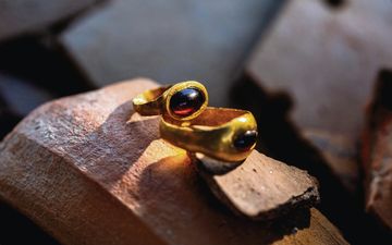 Close-up van twee gouden ringen op een steen.