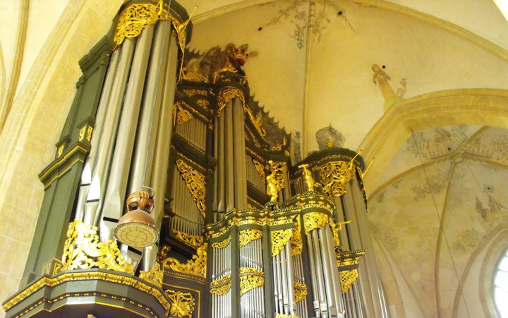 Een donkergroen geschilderde orgelkas met daarin zilverkleurige orgelpijpen. Onder-en bovenaan de pijpen zitten goudkleurige versieringen. Het orgel steunt op grote pilaren.