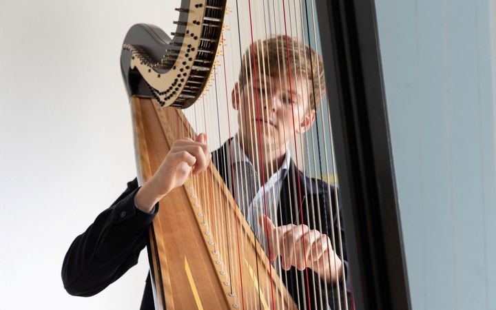 Harp met daarachter een jongeman met rossig haar en een zwart vest aan. Hij bespeelt de harp. 