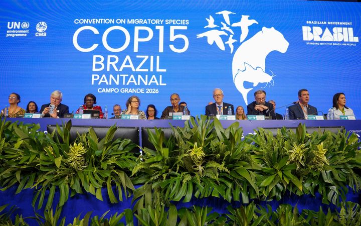 Een lange tafel met daaraan verschillende mensen. Op de achtergrond een felblauwe wand, voor de tafel veel groene plantensoorten.