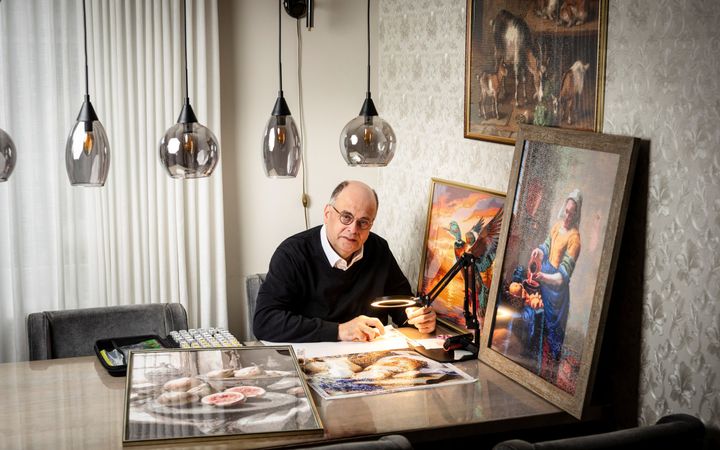 Interview Te moe om te lezen: diamond painting helpt Barnevelder door moeilijke tijden