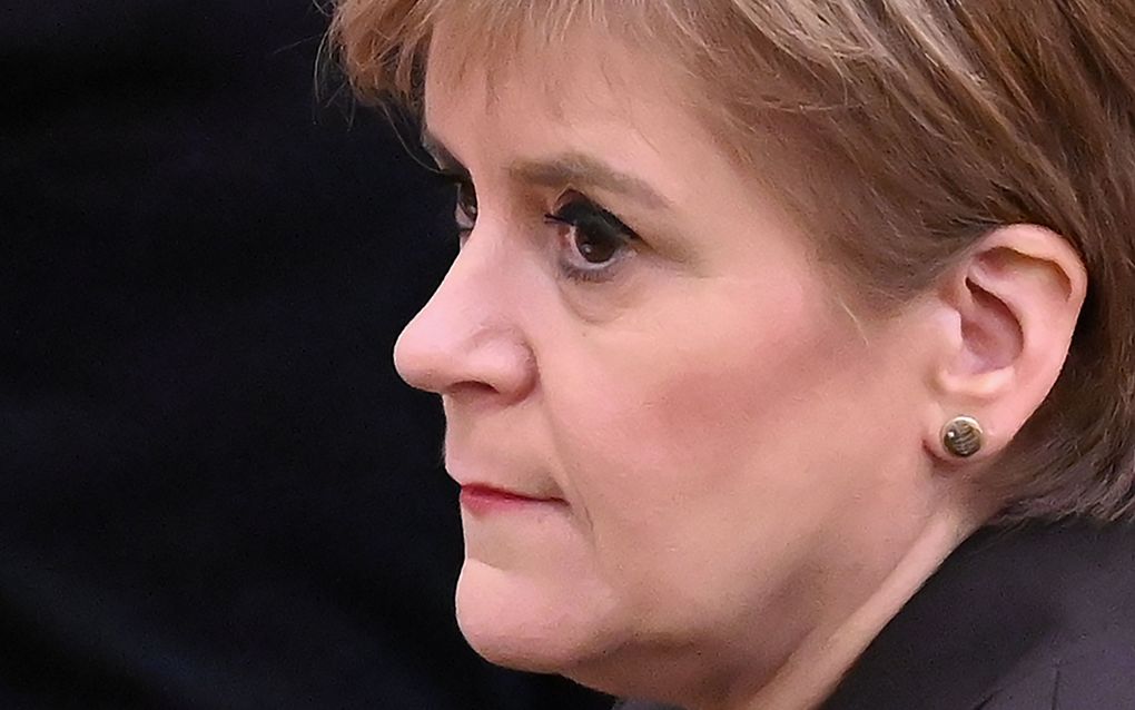 Sturgeon. beeld AFP