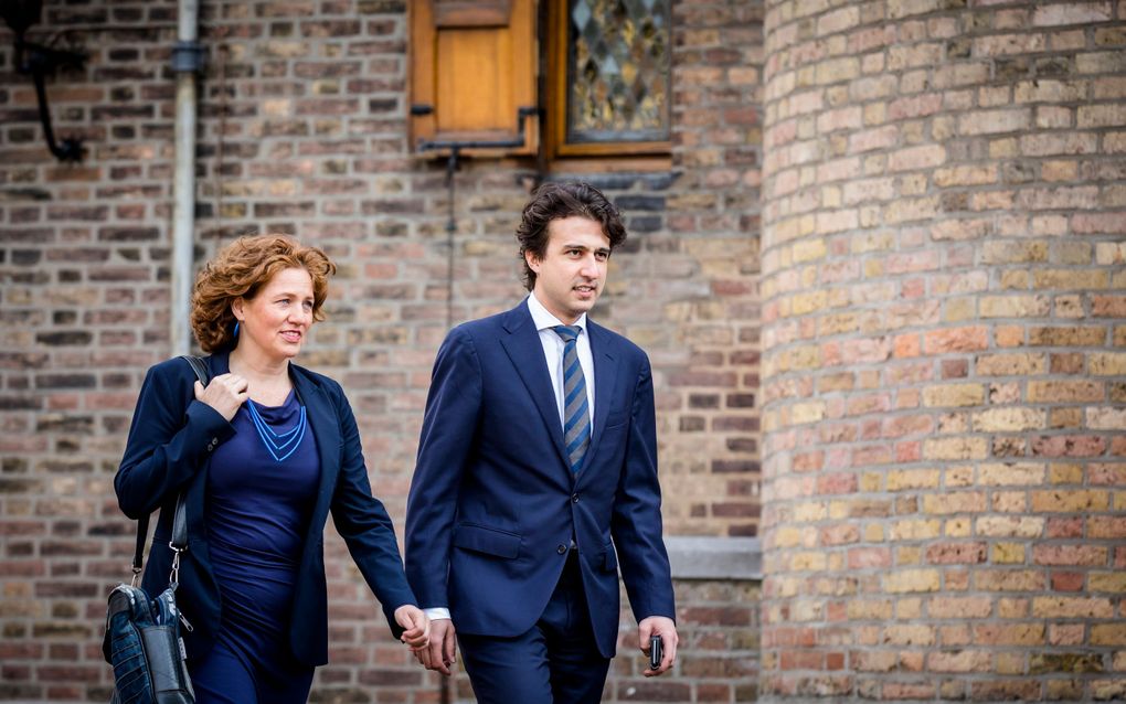 Klaver en Buitenweg. beeld ANP