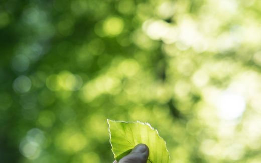 Thema: Week van de Schepping