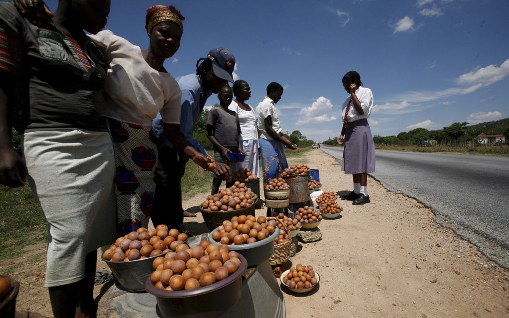 Pleinen en straten veranderen in Zimbabwe in openbare markten. Wie legaal wil staan, moet betalen. Bij gebrek aan ruimte of geld stallen veel mensen, vooral vrouwen, hun waar langs de weg uit op een kleedje of in emmers. Foto: vrouwen verkopen bessen, iet