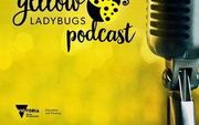 The Yellow Ladybug Podcast. beeld RD