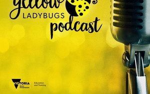 The Yellow Ladybug Podcast. beeld RD